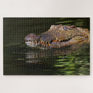 Alligatorpuzzle Puzzle