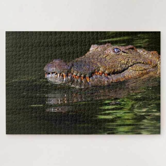 Alligatorpuzzle Puzzle (Horizontal)