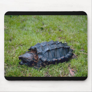 Alligatorreißende Schildkröte Mousepad
