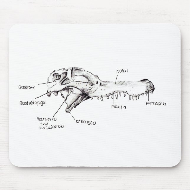 Alligatorschädel-Diagramm Mousepad (Vorne)