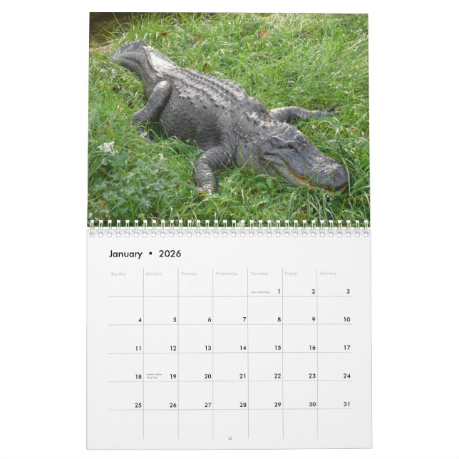 Alligatorwandkalender Kalender (Jan 2026)