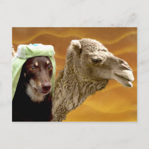 Alliierte aus Arabien Postkarte