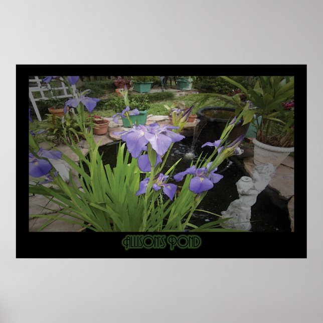 "Allison's Pond" - Drucken Poster (Vorne)