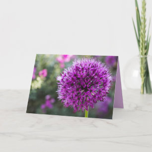 ALLIUM-BLUME KARTE