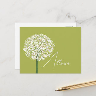  Allium Flower Botanical Art | Elegant Flora Postkarte