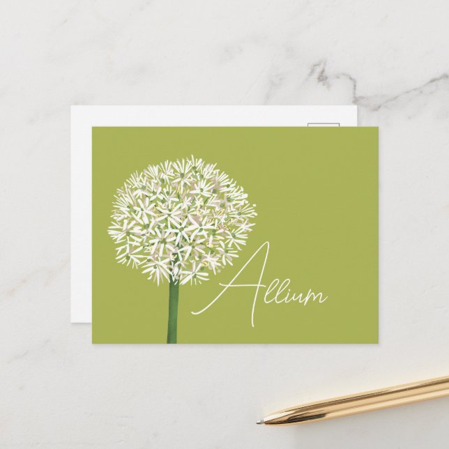  Allium Flower Botanical Art | Elegant Flora Postkarte (Vorderseite/Rückseite Beispiel)