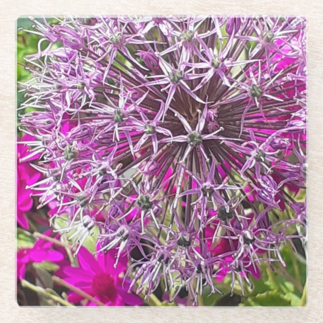 Allium & Summer Blume Glasuntersetzer (Vorderseite)