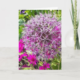 Allium & Summer Blume Grußkarte Karte