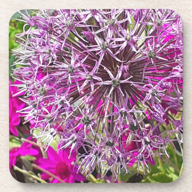 Allium & Summer Blume Kunststoff-Untersetzer Getränkeuntersetzer (Vorderseite)