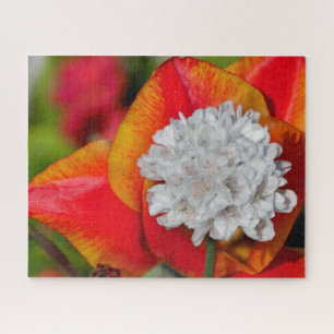 Allium und Tulip Spring Jigsaw Puzzle