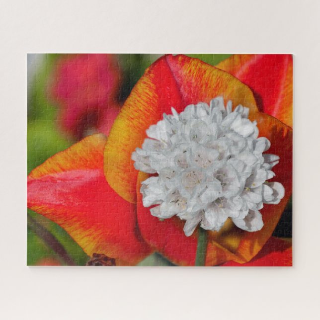 Allium und Tulip Spring Jigsaw Puzzle (Horizontal)