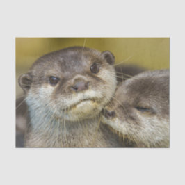 Alljährlich in Liebe Seidenpapier