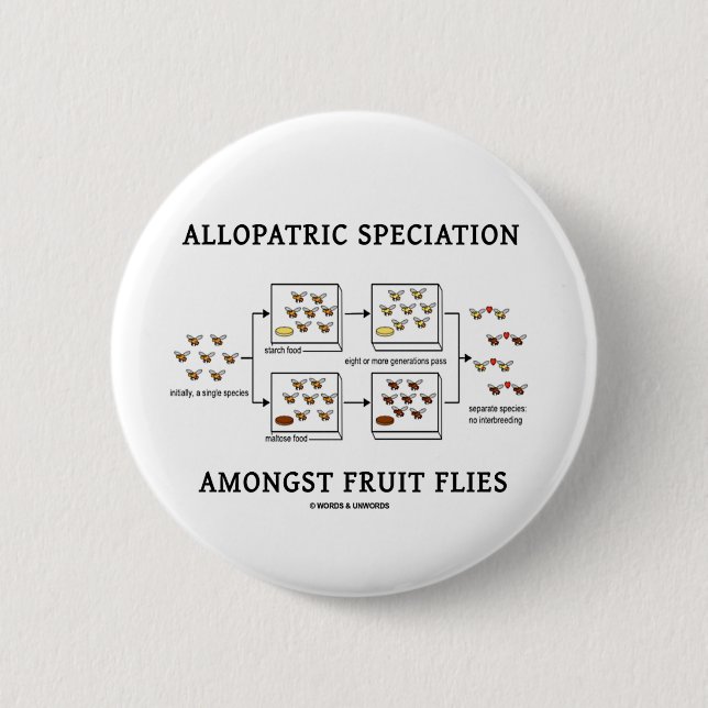 Allopatric Speciation unter Frucht-Fliegen Button (Vorderseite)