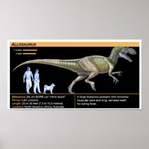 Allosaurus - Biologie Jura Poster