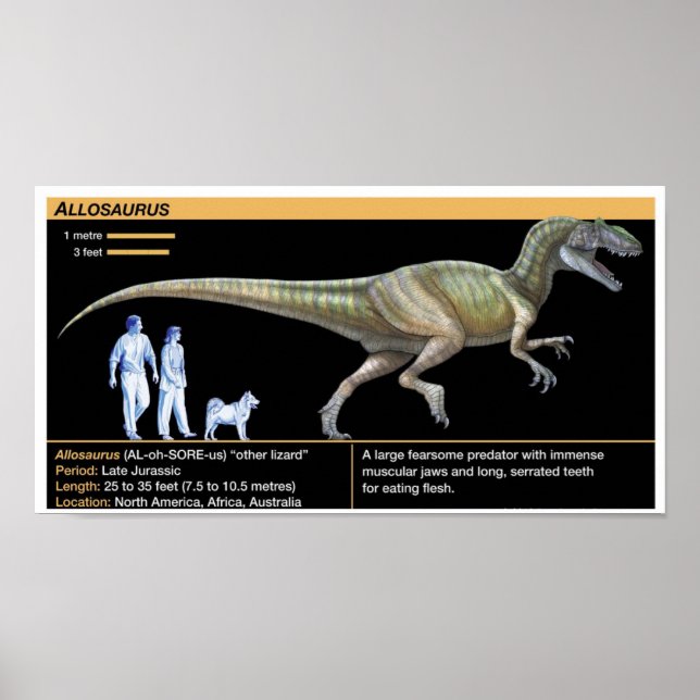 Allosaurus - Biology Jurassic Poster (Vorne)