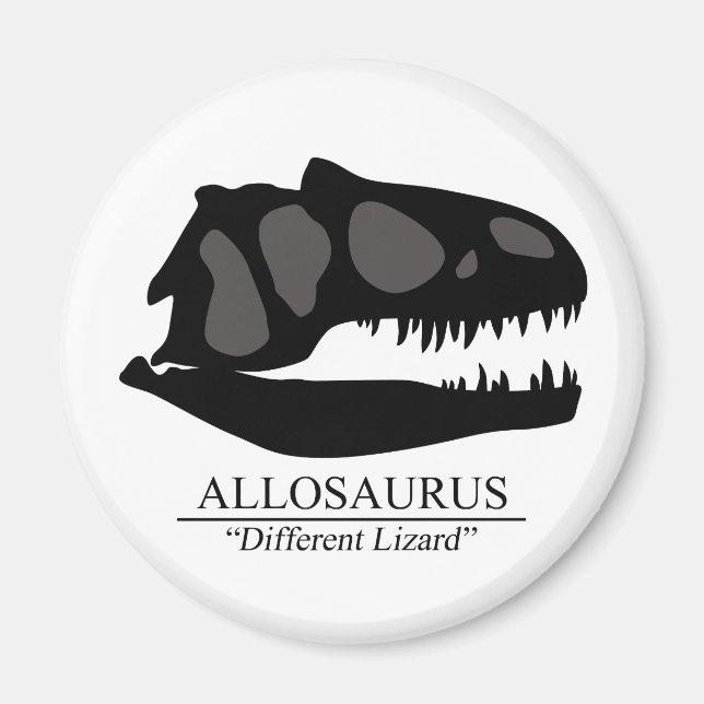 Allosaurus Skull Magnet (Vorne)