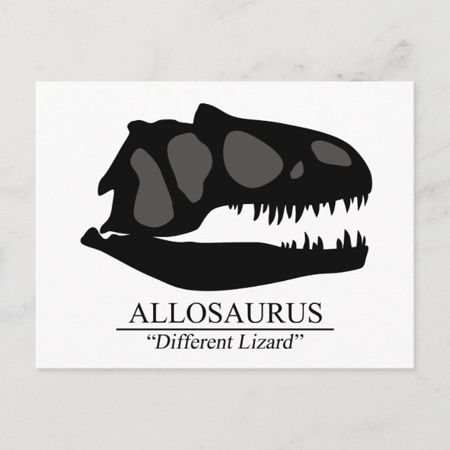 Allosaurus Skull Postkarte (Vorderseite)