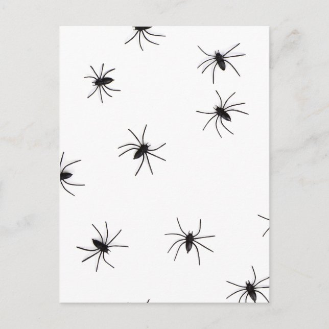 Allover Spiders Halloween Postkarte (Vorderseite)