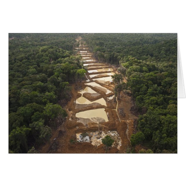 Alluvialer Goldbergbau. Regenwald, Guyana. (Vorderseite (Horizontal))