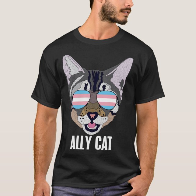 Ally Cat Funny Cat Trans Pride Pullover Hoodie (Vorderseite)