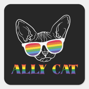 Ally Cat Niedliche Katze Regenbogen Stolz Quadratischer Aufkleber