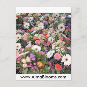 Alma Blooms 1 Postkarte