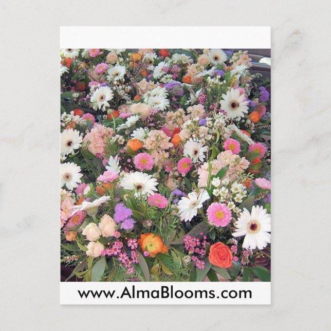 Alma Blooms 1 Postkarte (Vorderseite)