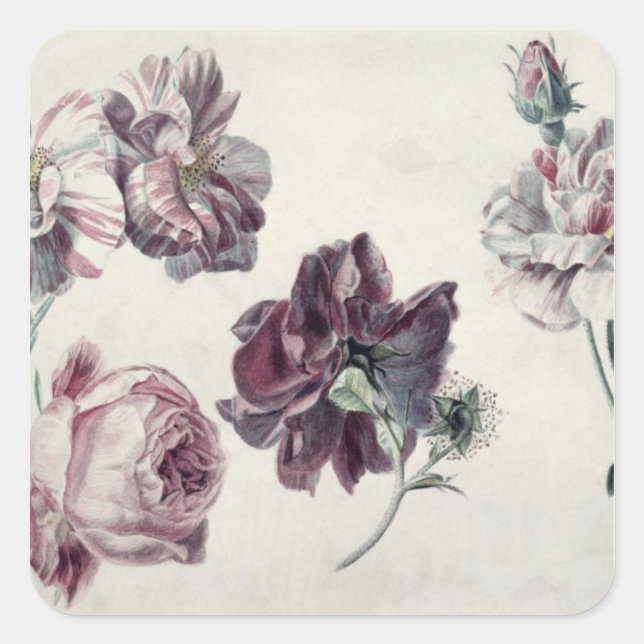 Alma-Tadema | ROSE Quadratischer Aufkleber (Vorderseite)