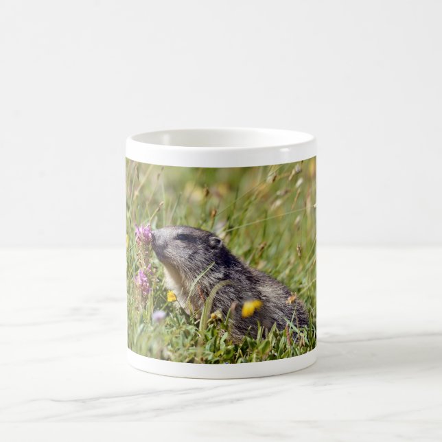 Almmarmot bei Blume Kaffeetasse (Mittel)