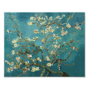 Almond Blossom Fotodruck