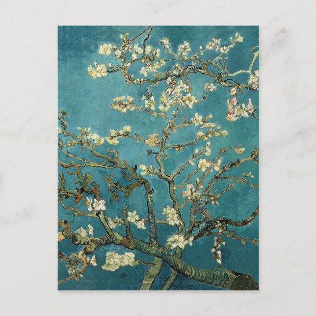 Almond Blossom Postcard Postkarte (Vorderseite)