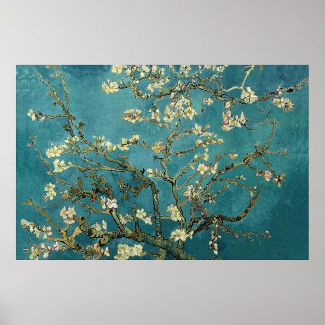 Almond Blossom Poster (Vorne)