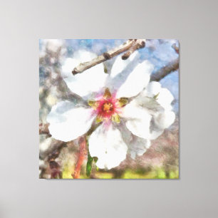 Almond Blossom Studie Aquarellmalerei Leinwanddruck