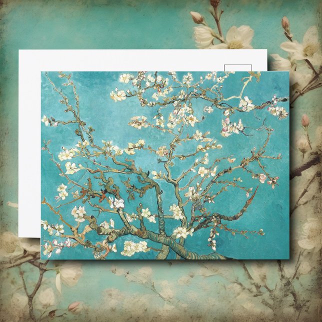 Almond blossom, Van Gogh Postkarte (Von Creator hochgeladen)