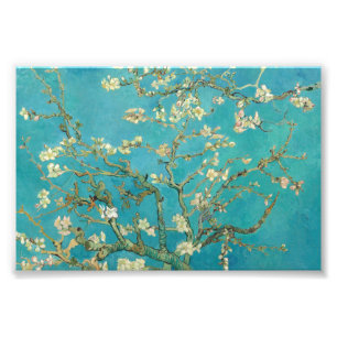 Almond Blossom von Vincent van Gogh Fotodruck