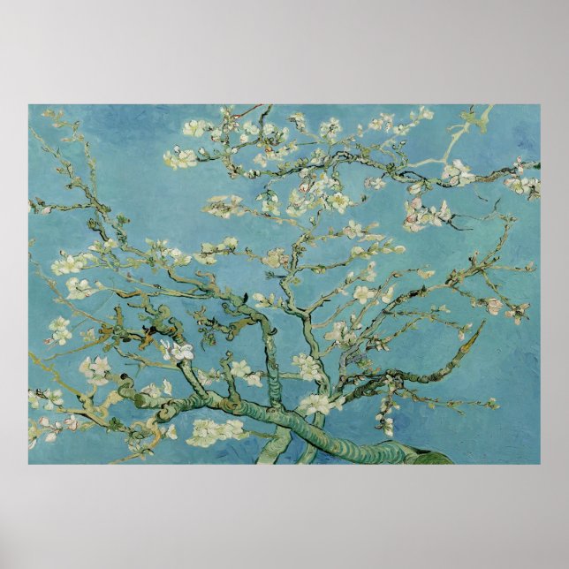 Almond blossom von Vincent Van Gogh Poster (Vorne)