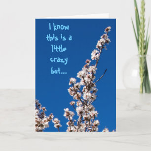 Almond Blossom Wacky Danke