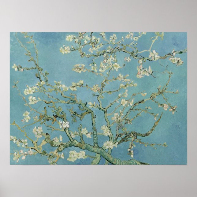 Almond Blossoms by Vincent Van Gogh Fine Art Poster (Vorne)