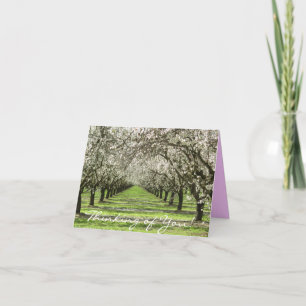 Almond Blossoms Notecard Karte
