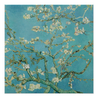 Almond Blossoms von Vincent Van Gogh Fine Art Poster