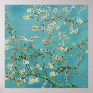 Almond Blossoms von Vincent van Gogh Poster