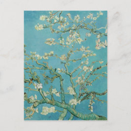 Almond Blossoms von Vincent van Gogh Postkarte