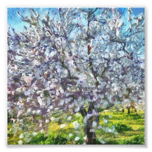Almond Tree Blossom Kunstmalerei Fotodruck (Vorne)