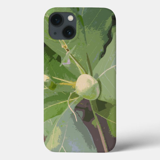 Almond Tree Closeup Case-Mate iPhone Hülle (Rückseite)