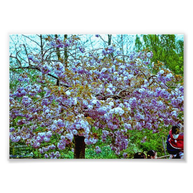 Almond Tree im Monet's Garden Fotodruck (Vorne)