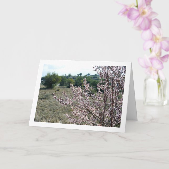 Almond Tree mit Blossom Karte (Orchidee)