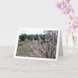 Almond Tree mit Blossom Karte
