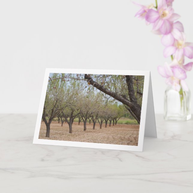 Almond Tree Orchard Karte (Orchidee)