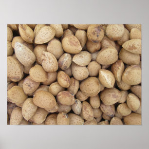 Almonds Herbstmuster Poster