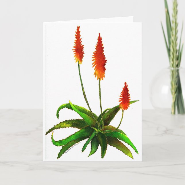 Aloe Aquarellkarte Karte (Vorderseite)